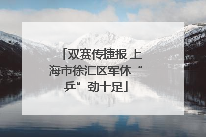 双赛传捷报 上海市徐汇区军休“乒”劲十足