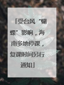 受台风“蝴蝶”影响，海南多地停课，复课时间另行通知