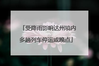 受降雨影响达州境内多趟列车停运或晚点