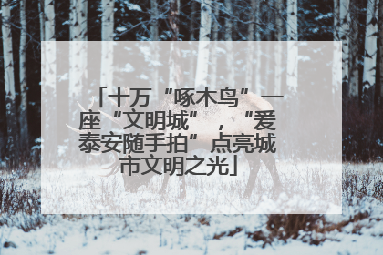十万“啄木鸟”一座“文明城”，“爱泰安随手拍”点亮城市文明之光