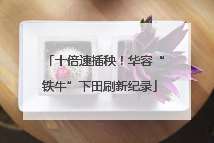 十倍速插秧！华容“铁牛”下田刷新纪录