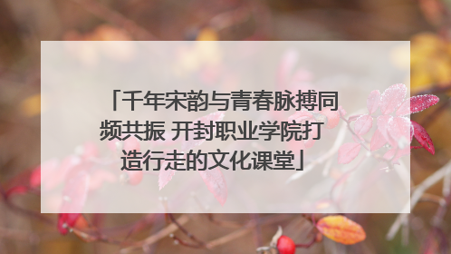 千年宋韵与青春脉搏同频共振 开封职业学院打造行走的文化课堂