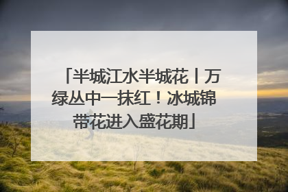 半城江水半城花丨万绿丛中一抹红！冰城锦带花进入盛花期