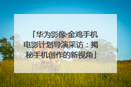 华为影像·金鸡手机电影计划导演采访：揭秘手机创作的新视角