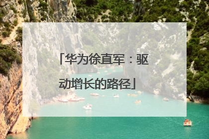 华为徐直军：驱动增长的路径