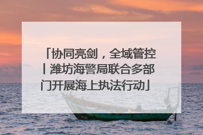 协同亮剑，全域管控丨潍坊海警局联合多部门开展海上执法行动