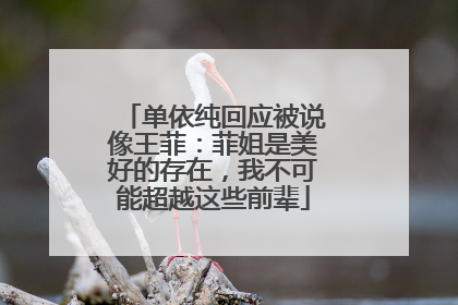 单依纯回应被说像王菲：菲姐是美好的存在，我不可能超越这些前辈