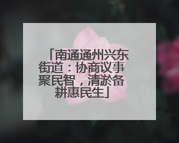 南通通州兴东街道：协商议事聚民智，清淤备耕惠民生