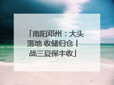 南阳邓州：大头落地 收储归仓丨战三夏保丰收