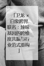 卫龙 × 白象跨界联名：辣味基因的跨维度共振与行业范式重构