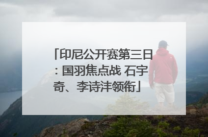 印尼公开赛第三日：国羽焦点战 石宇奇、李诗沣领衔