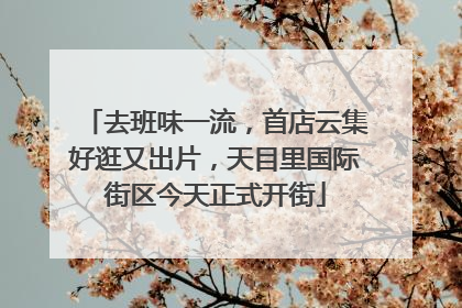 去班味一流，首店云集好逛又出片，天目里国际街区今天正式开街