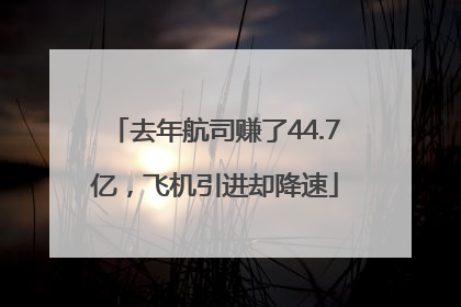 去年航司赚了44.7亿，飞机引进却降速