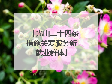 光山二十四条措施关爱服务新就业群体