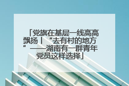 党旗在基层一线高高飘扬丨“去有村的地方”——湖南有一群青年党员这样选择