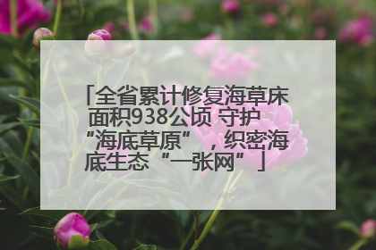 全省累计修复海草床面积938公顷 守护“海底草原”，织密海底生态“一张网”