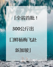 全省首批！300公斤出口鲜杨梅飞赴新加坡