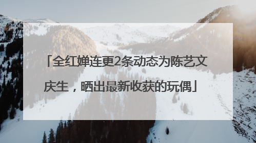 全红婵连更2条动态为陈艺文庆生，晒出最新收获的玩偶