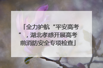 全力护航“平安高考”，湖北孝感开展高考前消防安全专项检查