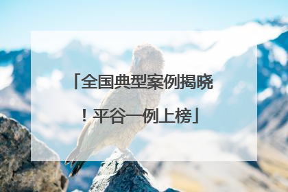 全国典型案例揭晓！平谷一例上榜