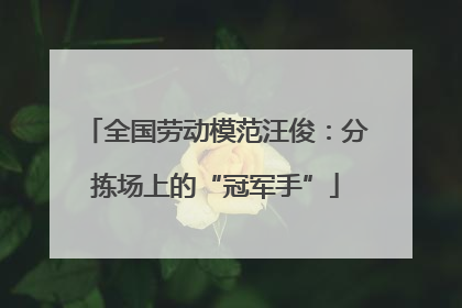 全国劳动模范汪俊：分拣场上的“冠军手”