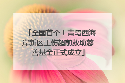 全国首个！青岛西海岸新区工伤超前救助慈善基金正式成立