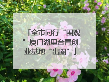 全市同行“围观”厦门湖里台青创业基地“出圈”