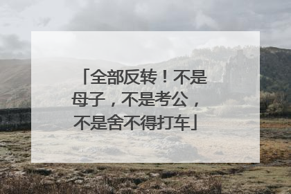 全部反转！不是母子，不是考公，不是舍不得打车