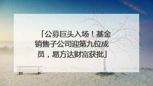 公募巨头入场！基金销售子公司迎第九位成员，易方达财富获批