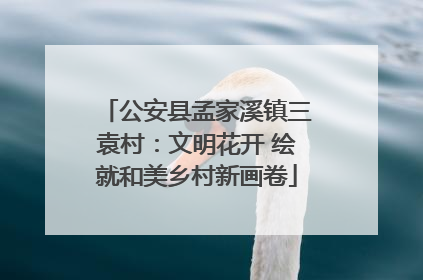 公安县孟家溪镇三袁村：文明花开 绘就和美乡村新画卷