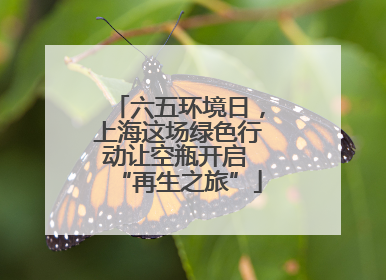 六五环境日，上海这场绿色行动让空瓶开启 “再生之旅”