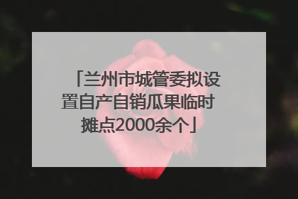 兰州市城管委拟设置自产自销瓜果临时摊点2000余个