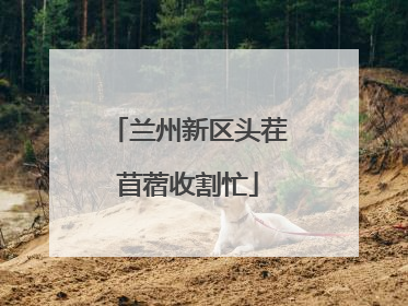 兰州新区头茬苜蓿收割忙
