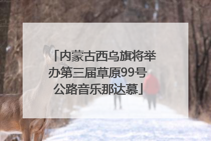 内蒙古西乌旗将举办第三届草原99号公路音乐那达慕
