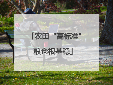 农田“高标准” 粮仓根基稳