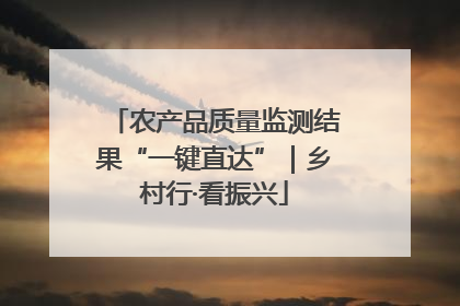 农产品质量监测结果“一键直达”｜乡村行·看振兴