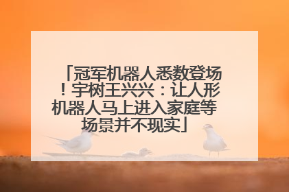 冠军机器人悉数登场！宇树王兴兴：让人形机器人马上进入家庭等场景并不现实