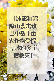 冰雹和强降雨袭击致巴中数千亩农作物受损，政府多举措救灾