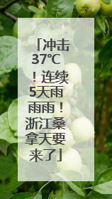 冲击37℃！连续5天雨雨雨！浙江桑拿天要来了
