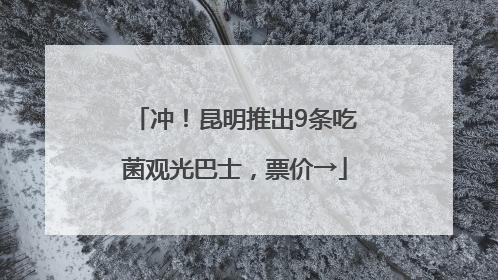 冲！昆明推出9条吃菌观光巴士，票价→