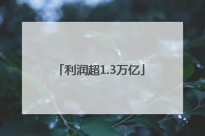 利润超1.3万亿