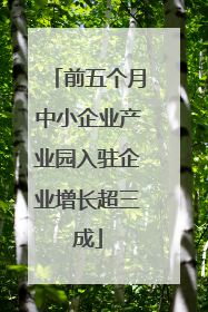 前五个月中小企业产业园入驻企业增长超三成
