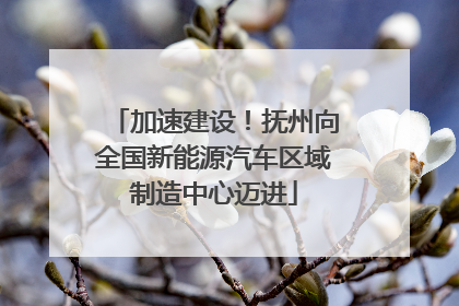 加速建设！抚州向全国新能源汽车区域制造中心迈进