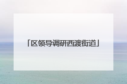 区领导调研西渡街道