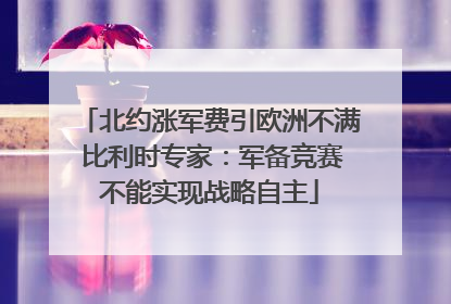 北约涨军费引欧洲不满 比利时专家：军备竞赛不能实现战略自主