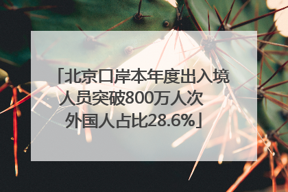 北京口岸本年度出入境人员突破800万人次 外国人占比28.6%
