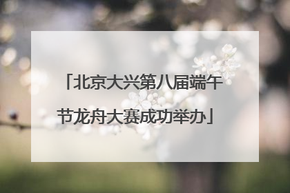 北京大兴第八届端午节龙舟大赛成功举办
