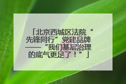 北京西城区法院“先锋同行”党建品牌——“我们基层治理的底气更足了！”