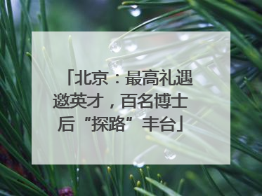 北京：最高礼遇邀英才，百名博士后“探路”丰台