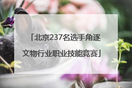 北京237名选手角逐文物行业职业技能竞赛